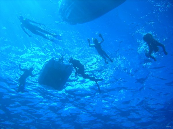 01- Snorkeling derivant dans la passe de Tumakohua 